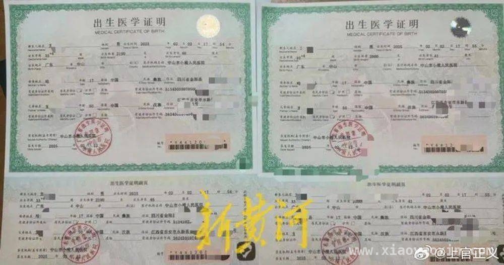 17岁少女代孕双胞胎，广东代孕中介乱象曝光