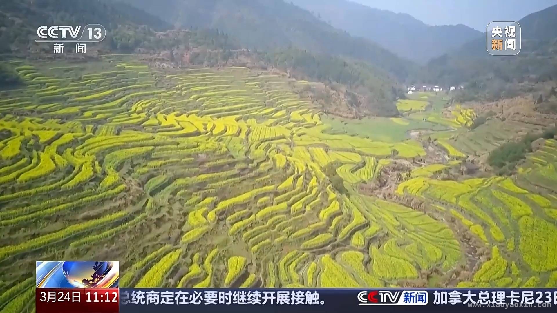 清明出游新趋势，短途赏花游火爆来袭