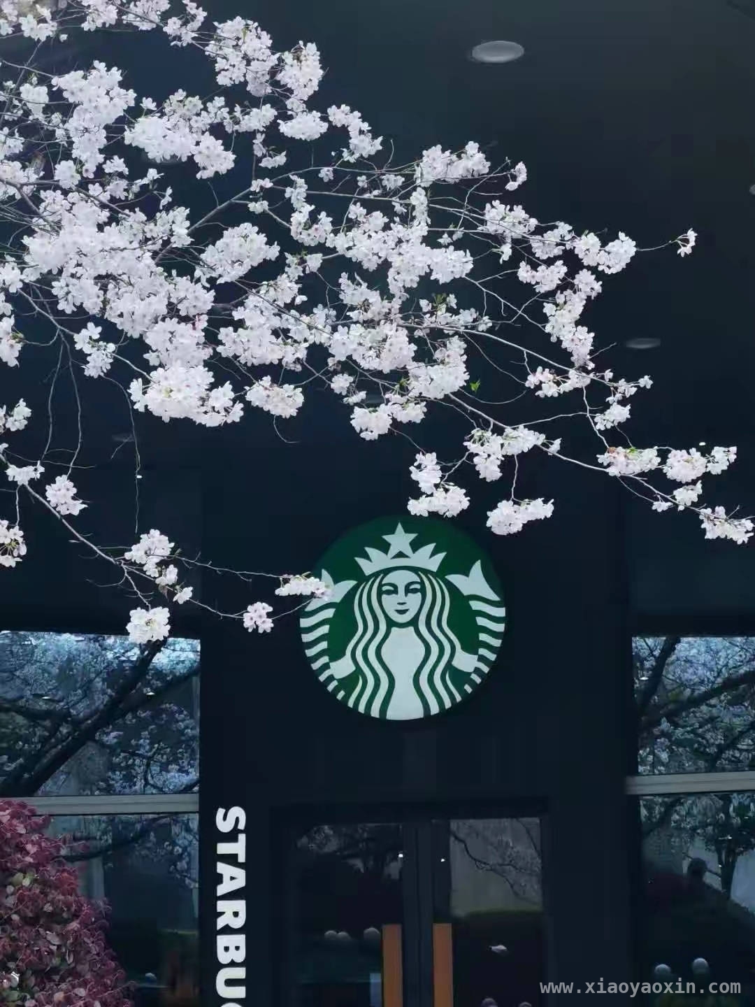 杭州春日：繁花中的浪漫与哲思