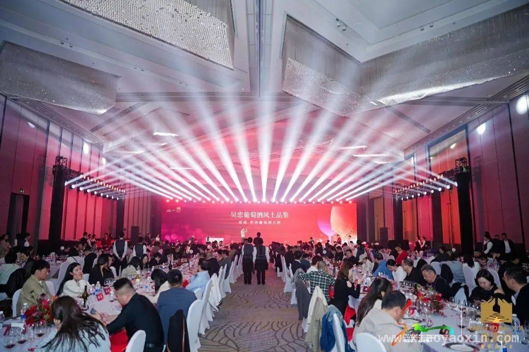 宁夏风味来袭，贺兰山东麓葡萄酒与成都的美好邂逅，贺兰山东麓葡萄酒亮相，借成都市场“火出圈”