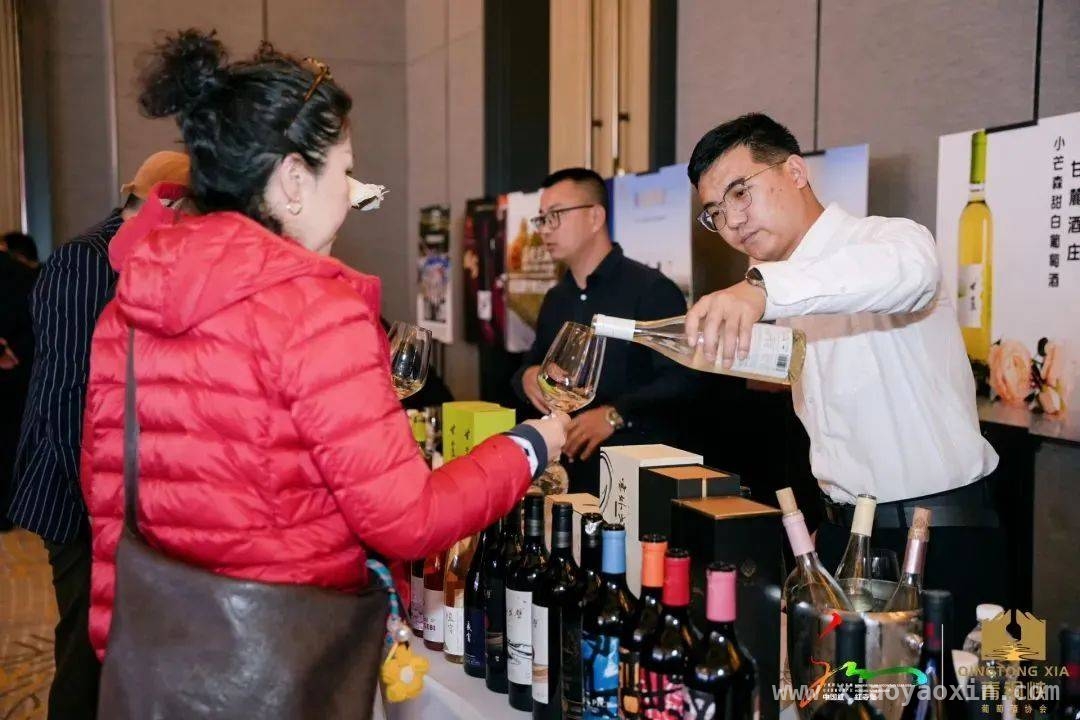 宁夏风味来袭，贺兰山东麓葡萄酒与成都的美好邂逅，贺兰山东麓葡萄酒亮相，借成都市场“火出圈”