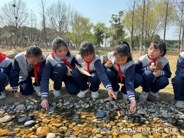 科技创新与思政教育结合，商榻小学开展系列节水活动，商榻小学：在实践中培养学生节水意识与生态责任感