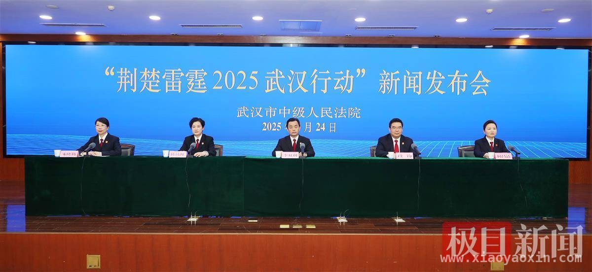 武汉法院新行动：“荆楚雷霆2025”剑指民生小案与企业执行难题，“荆楚雷霆2025武汉行动”：兼顾民生小案与企业信用惩戒
