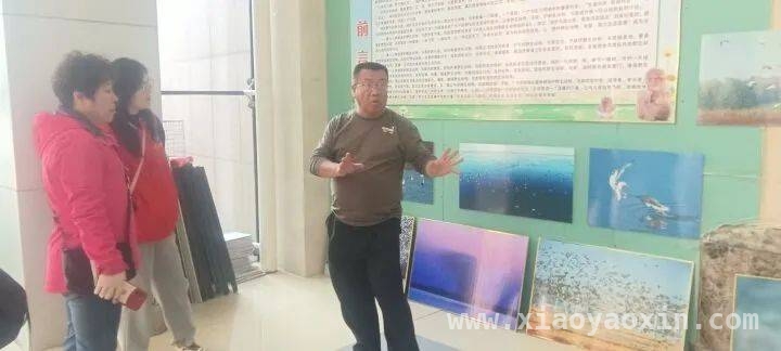 鞍山等地野生动物保护协会在台安大麦科湿地举办第四届候鸟喂食活动