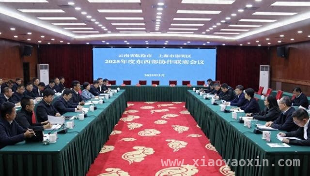 沪滇情深：崇明与临沧携手绘就乡村振兴新画卷，2025崇明临沧联席会议：深化协作，推动乡村振兴再升级