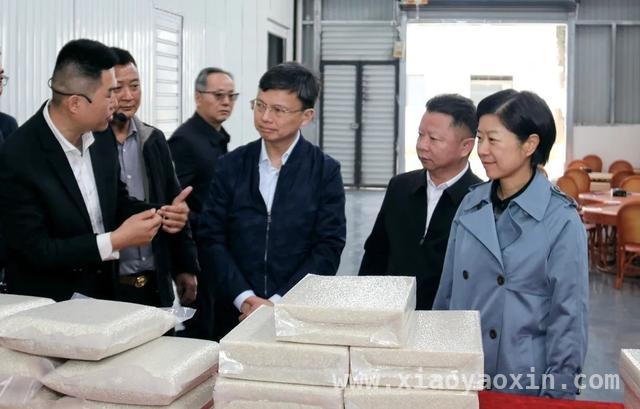 沪滇情深：崇明与临沧携手绘就乡村振兴新画卷，2025崇明临沧联席会议：深化协作，推动乡村振兴再升级