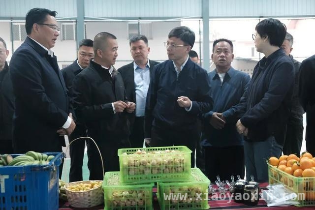 沪滇情深：崇明与临沧携手绘就乡村振兴新画卷，2025崇明临沧联席会议：深化协作，推动乡村振兴再升级