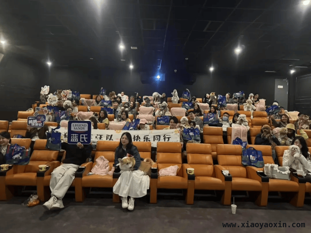 奥斯卡金融岛影城宠物专场观影活动，萌宠观影温馨回顾，宠物专场观影活动，奥斯卡影城让毛孩子感受电影魅力