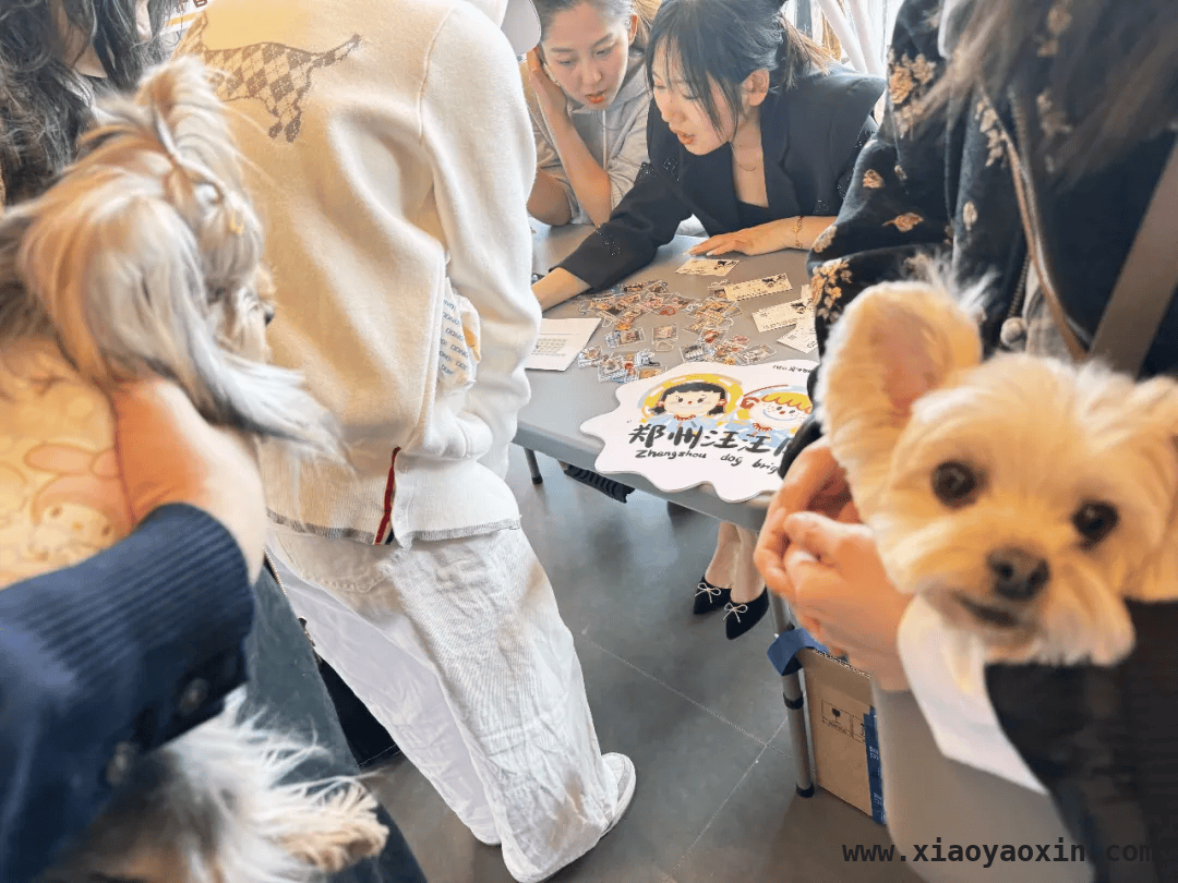 奥斯卡金融岛影城宠物专场观影活动，萌宠观影温馨回顾，宠物专场观影活动，奥斯卡影城让毛孩子感受电影魅力