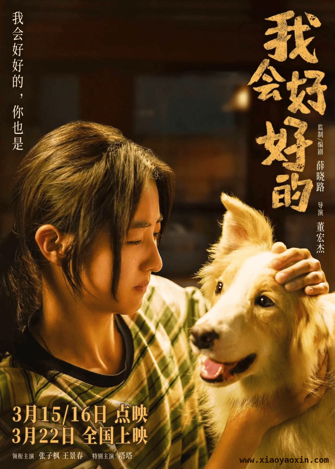 奥斯卡金融岛影城宠物专场观影活动，萌宠观影温馨回顾，宠物专场观影活动，奥斯卡影城让毛孩子感受电影魅力