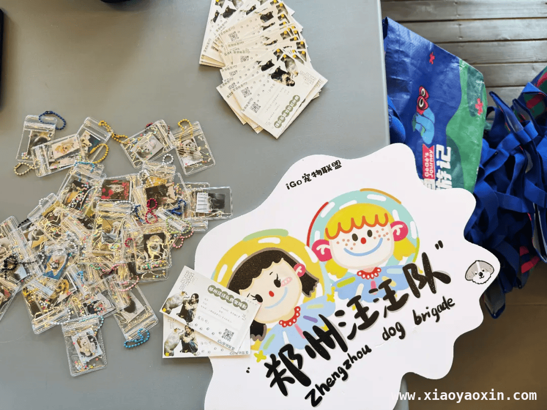 奥斯卡金融岛影城宠物专场观影活动，萌宠观影温馨回顾，宠物专场观影活动，奥斯卡影城让毛孩子感受电影魅力