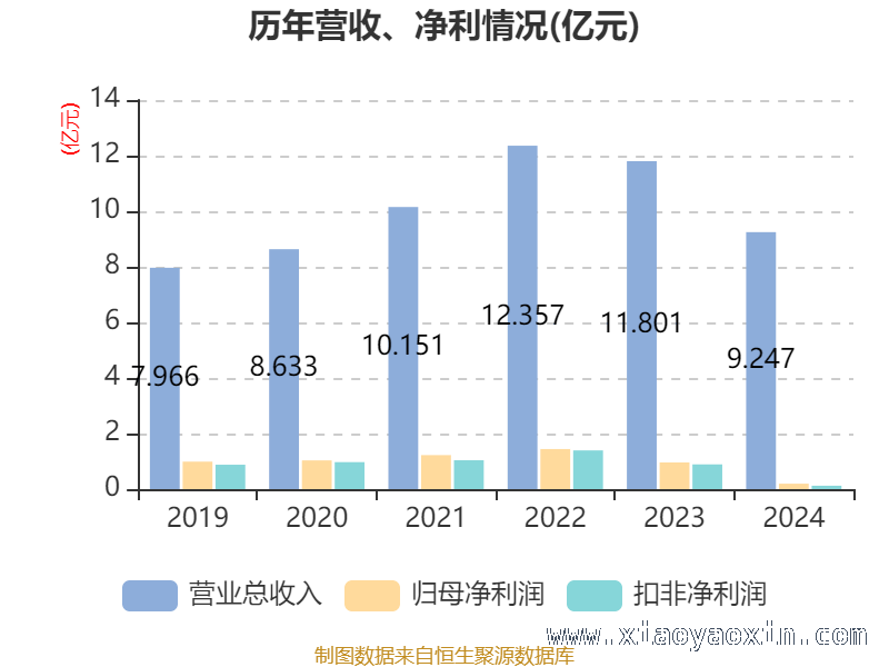 中天火箭高市盈率背后，资产与股东情况几何？ 中天火箭2024年：财务指标与股东格局大揭秘