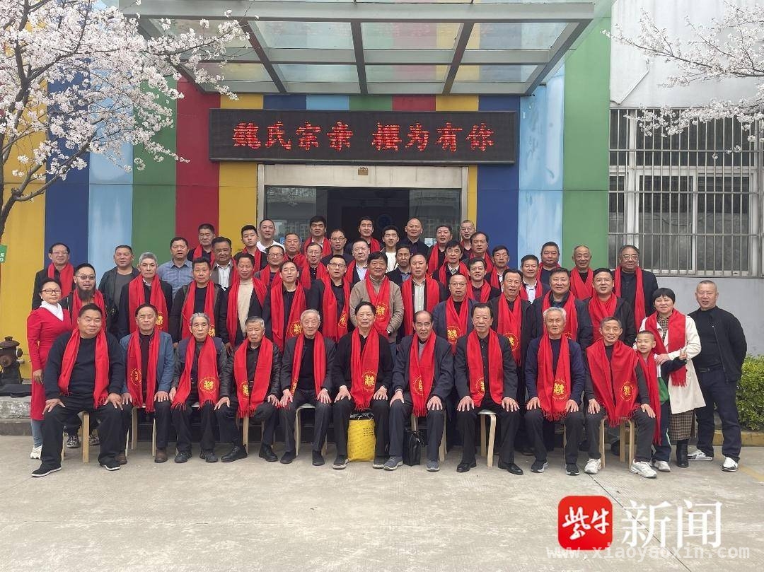 赏樱之约，魏氏家族文化传承与发展的新起点，春日赏樱盛会：江苏魏氏宗亲共绘家族文化新篇