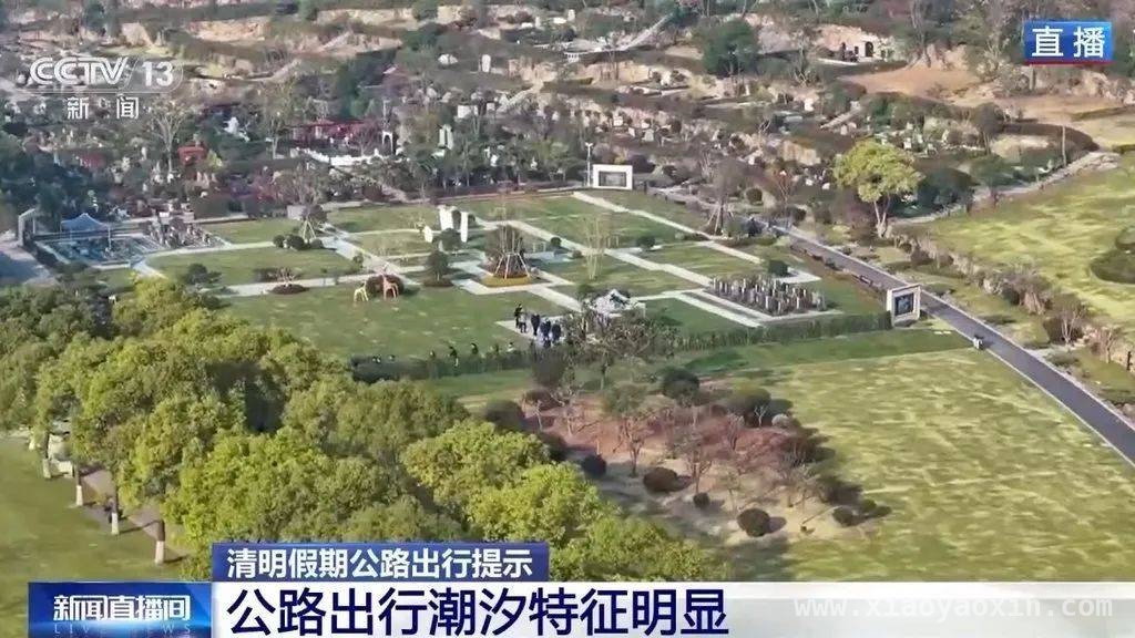 今年清明出行大揭秘，你准备好了吗？