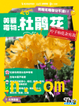 春日赏花暗藏危机！跟花拍照千万别做这事 阳春三月繁花美，赏花安全要牢记