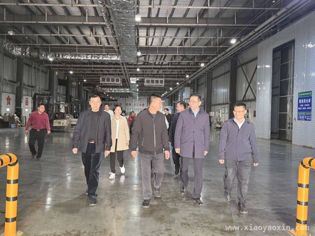 考察组借鉴百色等地经验，助力滨州市冬枣立法，考察组赴百色考察，为滨州市冬枣立法汲取经验