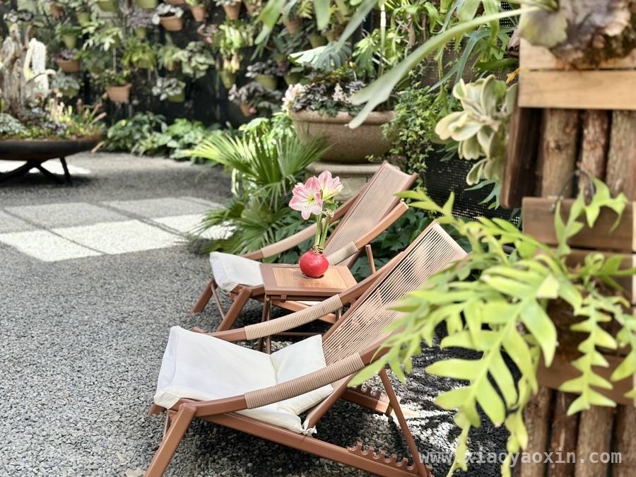 老牌花展22年热度不减，临港花港新玩法等你来体验