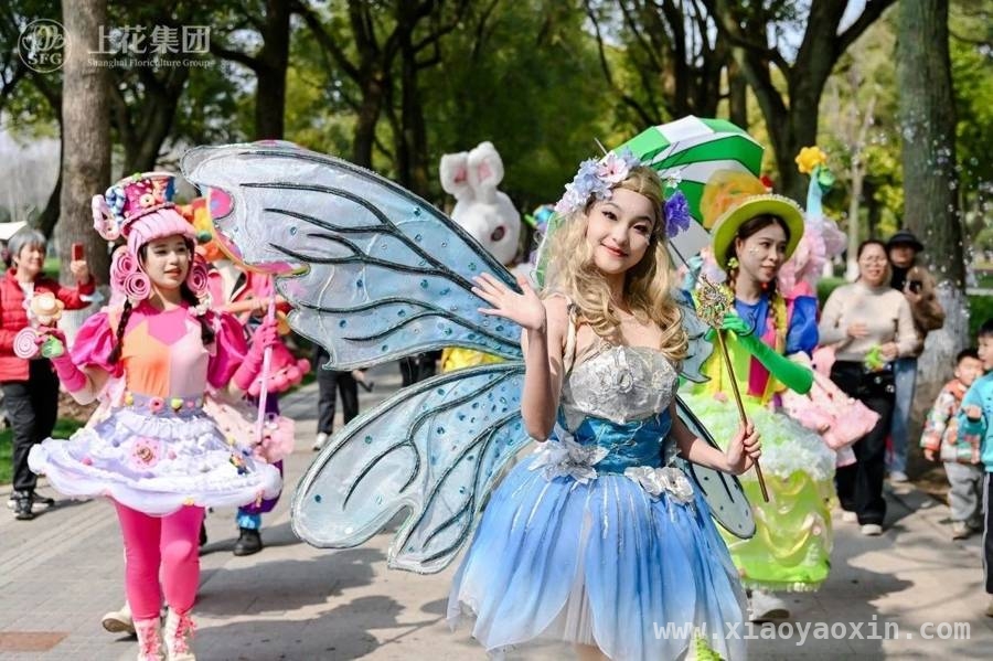 老牌花展22年热度不减，临港花港新玩法等你来体验