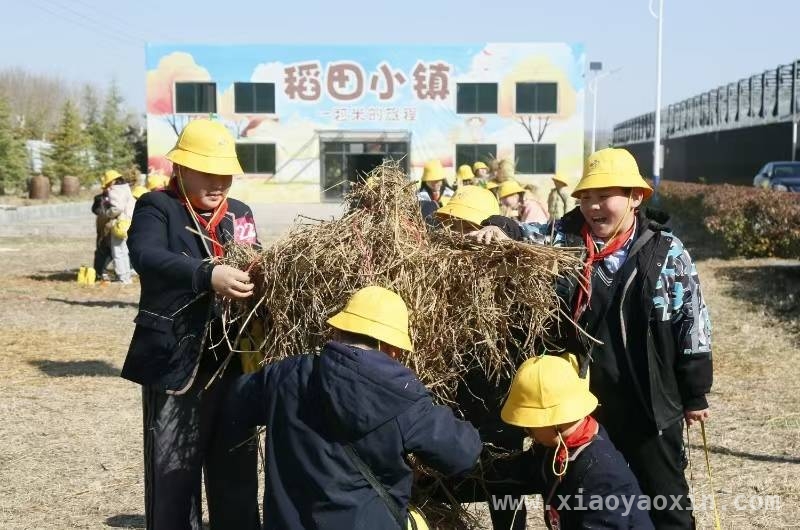东保村：从稻谷种植到农文旅融合的华丽转身