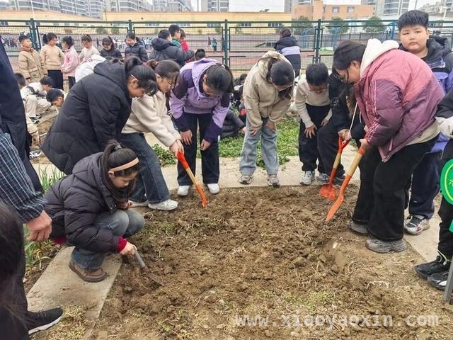 春日劳动教育，开启孩子成长新篇，从田间到课堂，劳动教育为孩子成长赋能