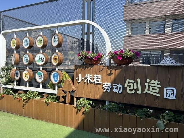 春日劳动教育，开启孩子成长新篇，从田间到课堂，劳动教育为孩子成长赋能