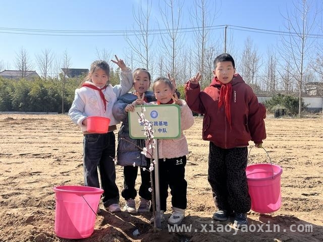 春日劳动教育，开启孩子成长新篇，从田间到课堂，劳动教育为孩子成长赋能