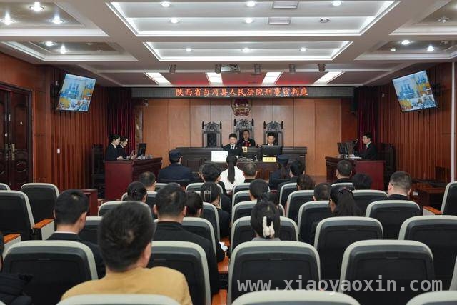 白河法院邀代表旁听庭审，提升司法透明度 白河法院庭审活动：让人大代表深入了解司法工作