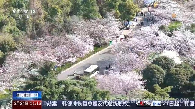清明出游热潮来袭，国内短途游与境外“快闪”游双火爆，清明假期火车票开售，踏青赏花游成热门趋势