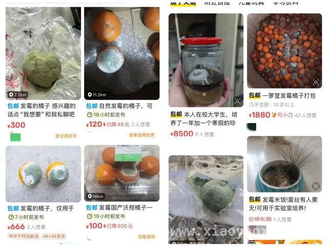 二手平台“发霉商品”乱象：亟需源头治理