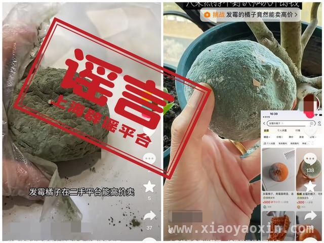 二手平台“发霉商品”乱象：亟需源头治理