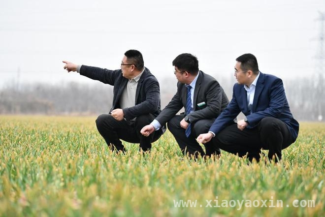 农行山东省分行：以金融之力，谱春耕华章