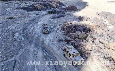 一场实战化考核，见证陆军某旅防化分队的应变与担当