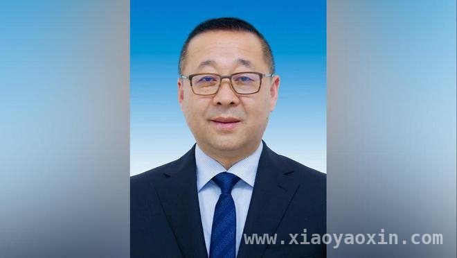 王青峰任职陕西发改委主任，未来发展受瞩目，王青峰出任陕西发改委主任，发展新征程开启