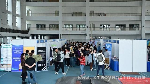 聚焦体育特色，杨浦招聘会为毕业生赋能 “体育+”模式下，杨浦招聘会搭建校企合作桥梁