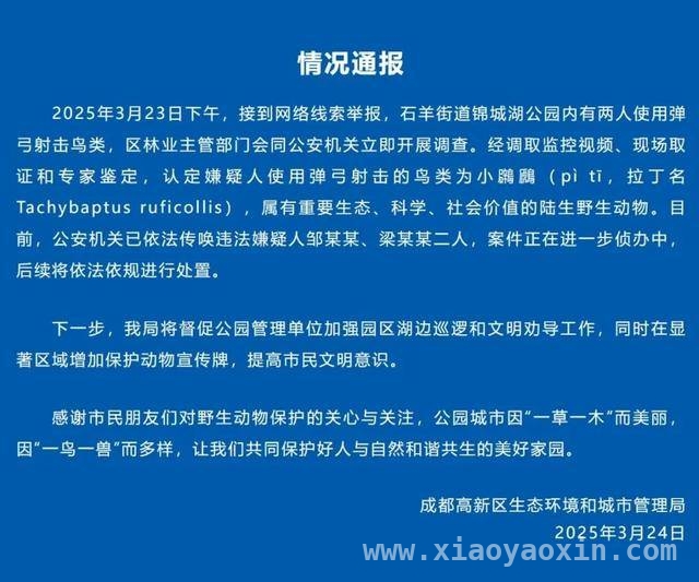 惊！成都两男子弹弓射“三有”鸟类，警方火速出击 严惩弹弓打鸟者！成都警方果断行动
