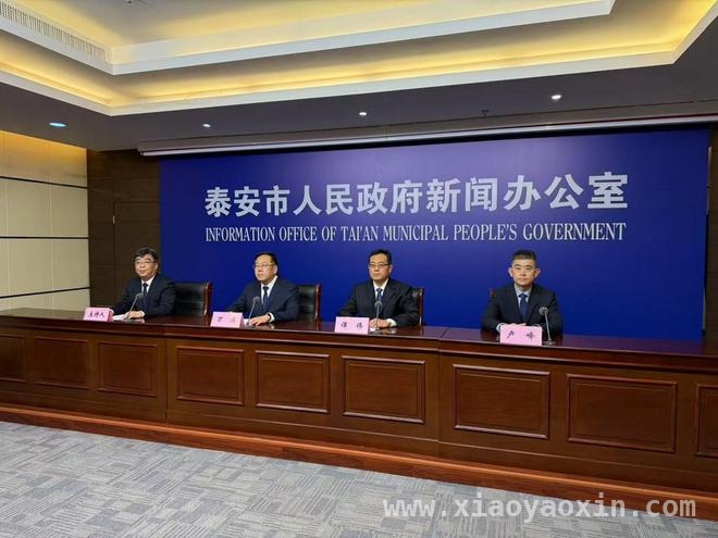 聚焦泰安会计人才培养：多维度成果推动行业进步