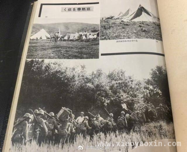 珍贵史料！侵华日军伪造法币档案及相册被捐赠