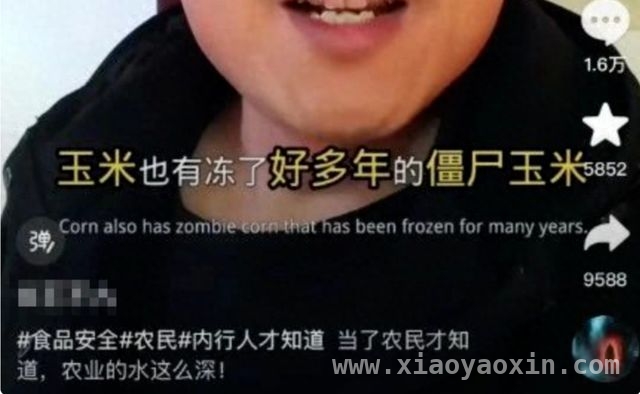 揭秘“僵尸玉米”真相，教你放心选玉米！，“僵尸玉米”传闻背后，加工玉米的那些事儿