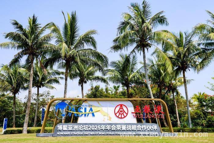 五粮液闪耀博鳌亚洲论坛2025，彰显中国白酒魅力，五粮液亮相博鳌，以“和美”之姿传递白酒文化