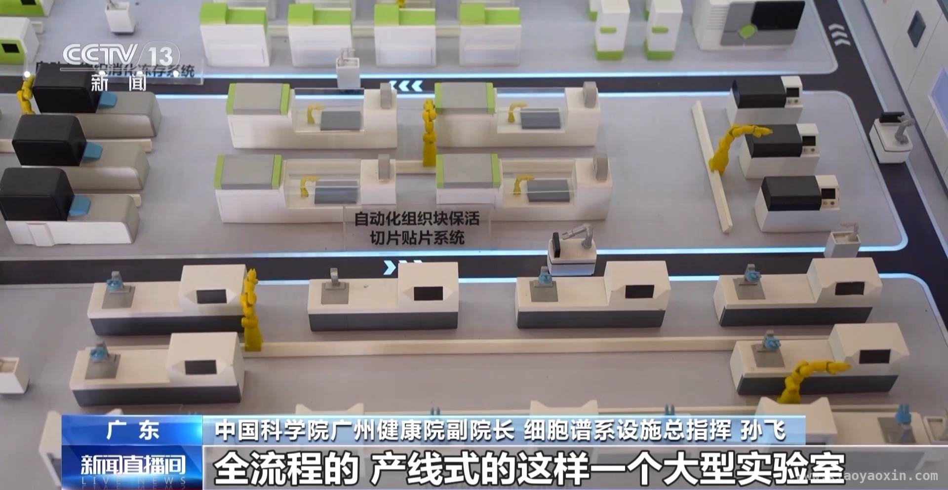 生命科学新突破：广州人类细胞谱系设施引领科研潮流