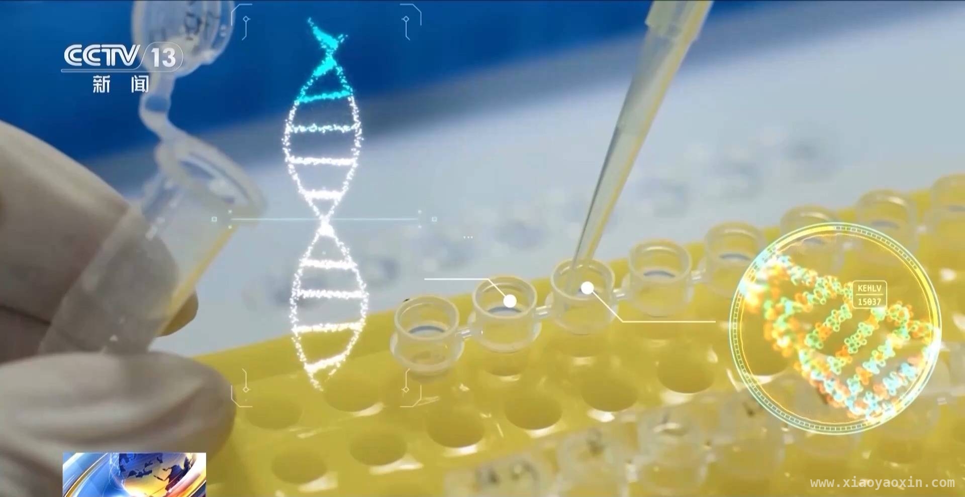 生命科学新突破：广州人类细胞谱系设施引领科研潮流