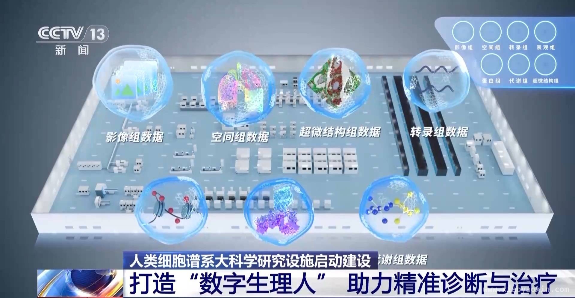 生命科学新突破：广州人类细胞谱系设施引领科研潮流