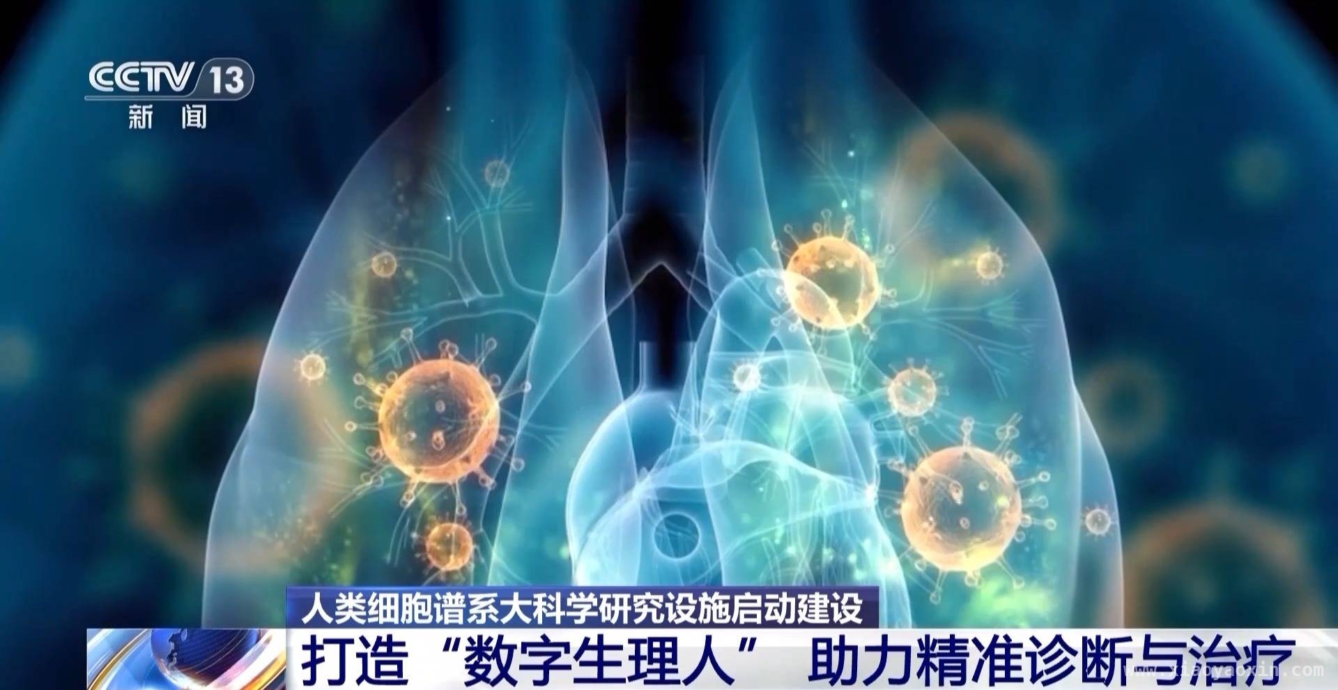 生命科学新突破：广州人类细胞谱系设施引领科研潮流