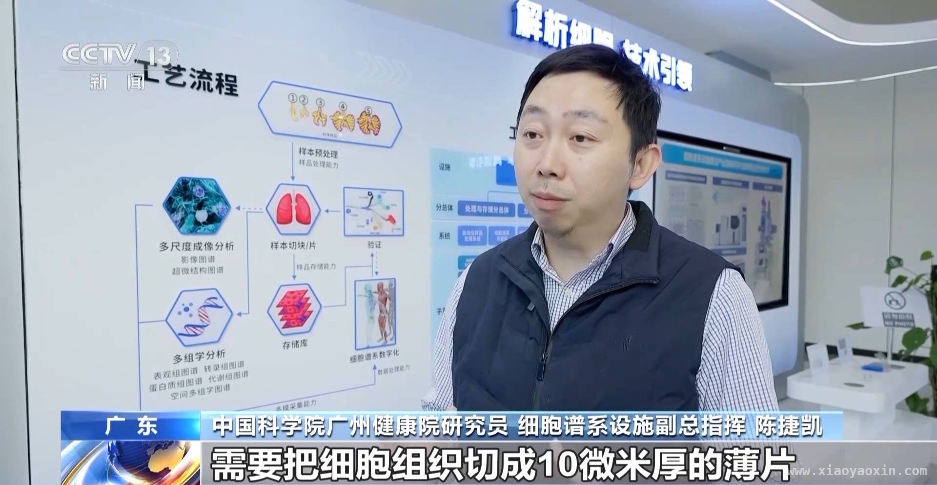 生命科学新突破：广州人类细胞谱系设施引领科研潮流