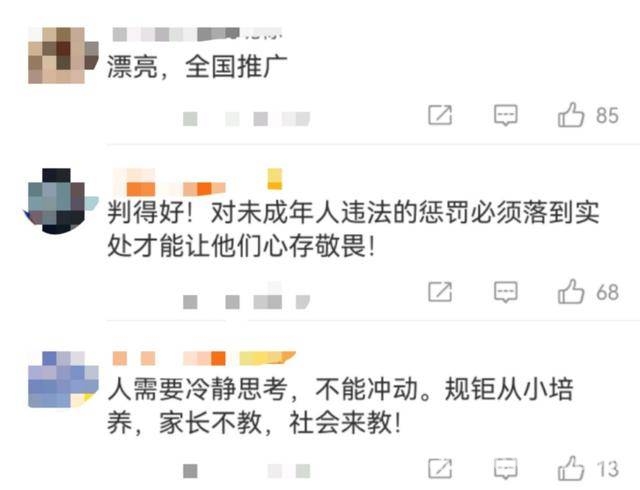 从校园纷争到法律裁决：未成年人名誉侵权案引关注 未成年人名誉侵权，法院判决彰显公平正义