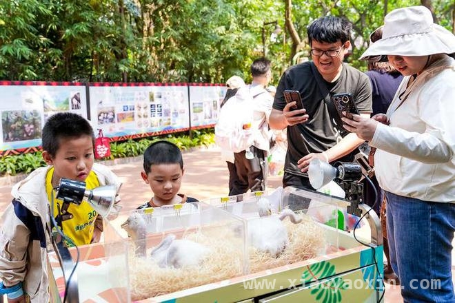 第44届广东“爱鸟周”盛大启幕，共筑生物多样性保护新征程