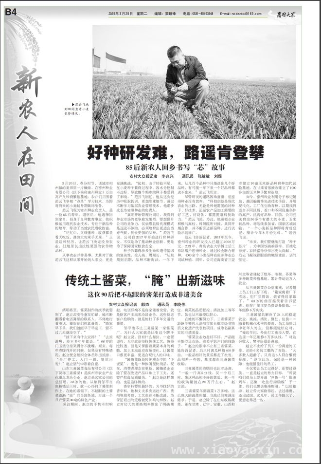 密州种业范云飞：突破困境，培育良种保障粮食安全