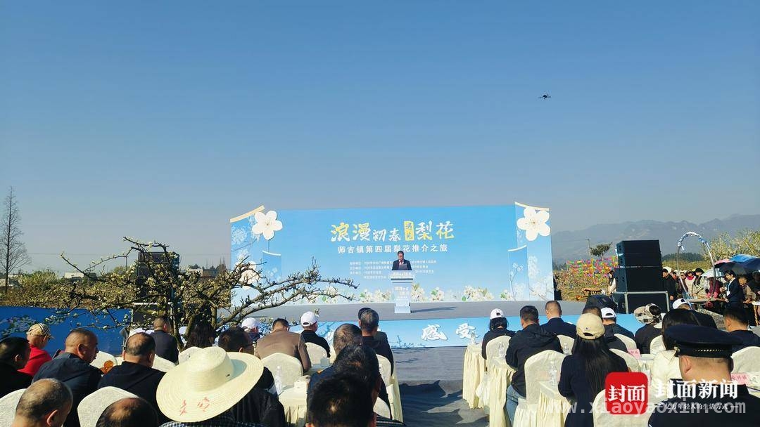 “九里梨香”再绽光彩，师古镇梨花推介之旅助力乡村振兴 师古镇第四届梨花推介之旅：赏花、美食、福利一个都不少！