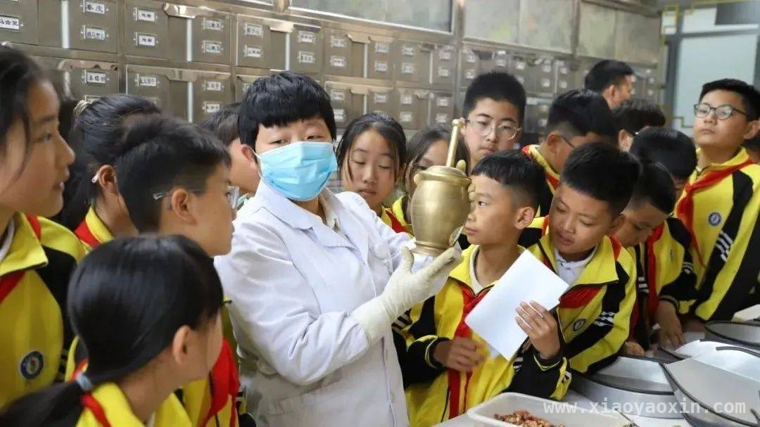 鱼台县：依托平台资源，构建全链条教育生态