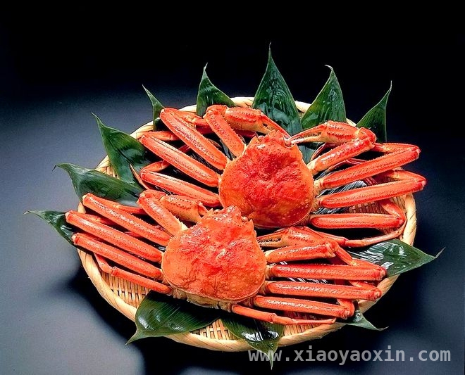 品味俄罗斯板蟹，感受美食匠心，舌尖诱惑：俄罗斯板蟹的独特魅力